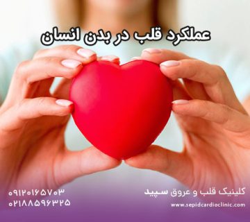 عملکرد قلب در بدن انسان